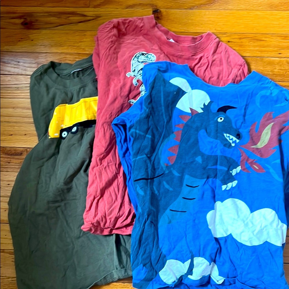 Set of Three Hanna Andersson size 10 shirts long sleeve.